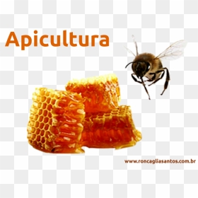 Transparent Espigas Png - Bees Wax Clip Art, Png Download - flying bee png