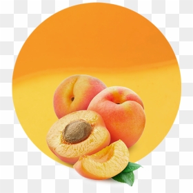 Apricots Png, Transparent Png - apricot png