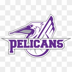 National American Miss, HD Png Download - pelicans logo png