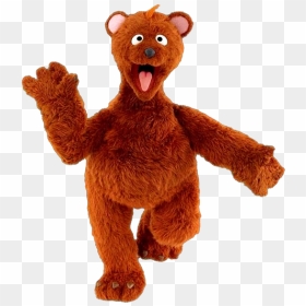 Muppet Wiki - Sesame Street Characters Baby Bear, HD Png Download - sesame street characters png