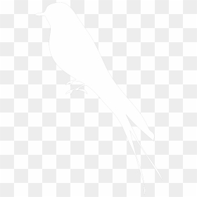White Solid Mockingbird Svg Clip Arts - White Mockingbird Clipart, HD Png Download - mockingbird png