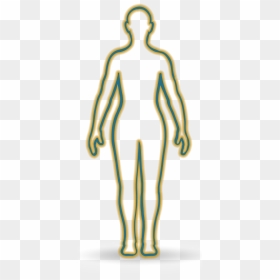 Body Outline With Areas Where Trk Fusion Cancer Has - Illustration, HD Png Download - body outline png