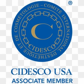 Cidesco, HD Png Download - usa outline png