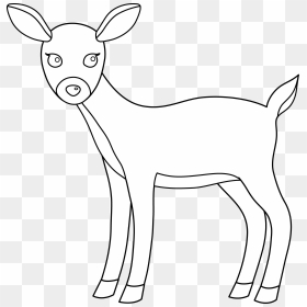 Clip Art Black And White Deer, HD Png Download - body outline png