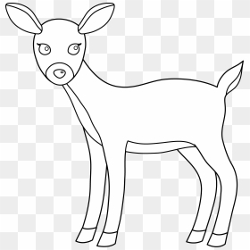 Clip Art Black And White Deer, HD Png Download - body outline png