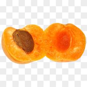 Free Png Apricot Png Images Transparent - Portable Network Graphics, Png Download - apricot png