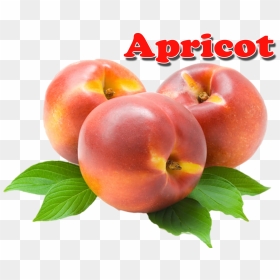 Nectarines , Png Download - Nectarines, Transparent Png - apricot png