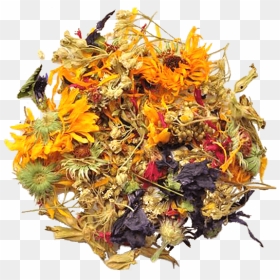 Flowering Tea Png - Dried Tea Flowers Png, Transparent Png - wild flowers png