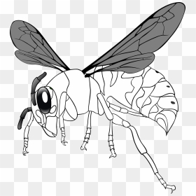 Bee Line Art Tattoo Design - Wasp Bee Drawing, HD Png Download - flying bee png