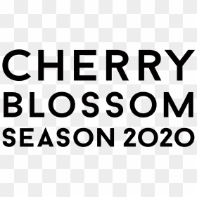 Cherry Blossom Season - Sw Postcode Area, HD Png Download - sakura petals png
