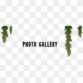 Calligraphy, HD Png Download - lil uzi png
