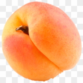 Apricot Png Icon Free Download - Peach, Transparent Png - apricot png