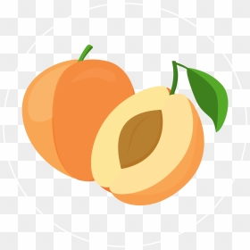 Apricot-icon - Apricot Icon, HD Png Download - apricot png