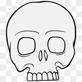 Traceable Skull, HD Png Download - skeleton head png