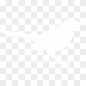 Silhouette Mockingbird, HD Png Download - mockingbird png