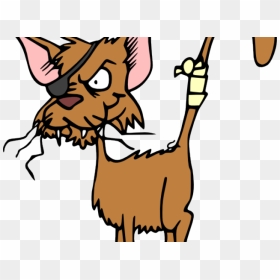 Fight Clipart Dog Cat Fighting - One Eyed Cat Cartoon, HD Png Download - dog and cat png
