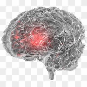 Brain2 - Effects Of Ice On The Brain, HD Png Download - brain transparent png