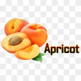Apricot Png , Png Download - Peach With Apricot Png, Transparent Png - apricot png