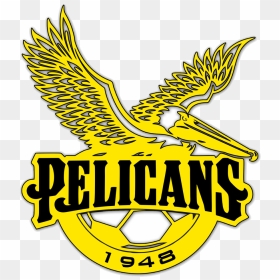 Pelicans Sc Sri Lanka, HD Png Download - pelicans logo png
