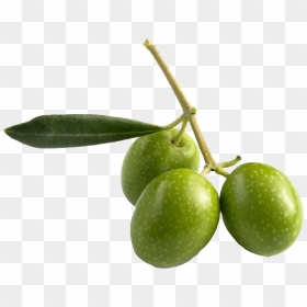 Olive Png Pic - Olive Squalane Oil, Transparent Png - olive png