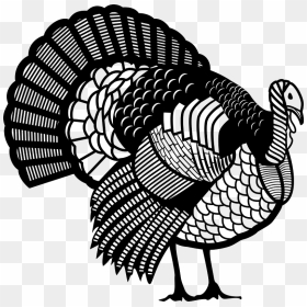 Turkey Clipart - Turkey Vector Png, Transparent Png - turkey transparent png