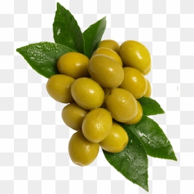Green Olive Png - Green Olives Png, Transparent Png - olive png
