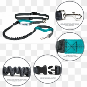 Hands Free Bungee Leash - Leash, HD Png Download - leash png