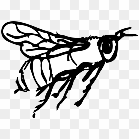 Portable Network Graphics, HD Png Download - flying bee png