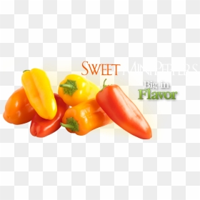 900 X 370 - Yellow Pepper, HD Png Download - peppers png