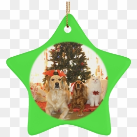 Pet Christmas Tree Ornament Cat Gift Crafted Holiday - Things To Get Dogs For Christmas, HD Png Download - dog and cat png