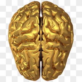 Brain Transparent Png, Png Download - brain transparent png