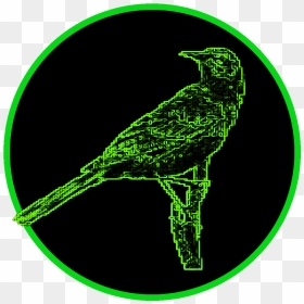Undead Mockingbird - Circle, HD Png Download - mockingbird png
