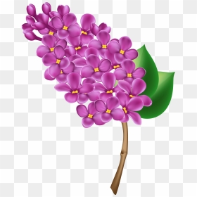 Purple Flower Clipart Top View - Lilac Clipart, HD Png Download - plant top view png