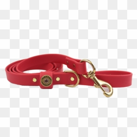 Over Under Water Dog Leash - Great Dane, HD Png Download - leash png