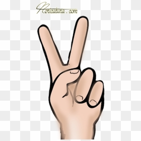 Thumb Image - Illustration, HD Png Download - acordeon png