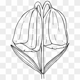 Yellow Bells Clip Arts - Yellowbell Clipart Black And White, HD Png Download - bells png