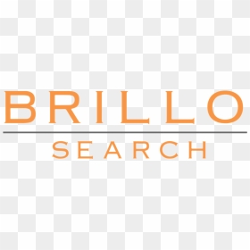 Brillo Search, HD Png Download - brillo png