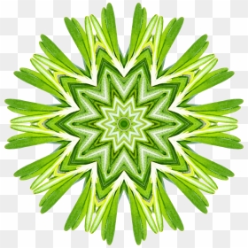 Rosemary Kaleidoscope, HD Png Download - rosemary png