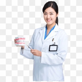 Physician Dentistry Tooth Dental Implant - Transparent Female Doctor Png, Png Download - dentist png