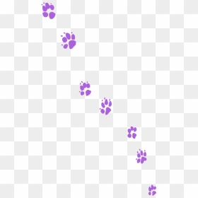 Graphic Design, HD Png Download - wolf paw print png
