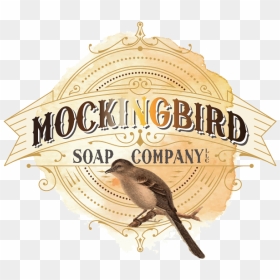 Vintage Bird Illustration, HD Png Download - mockingbird png