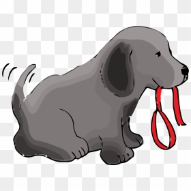 Labrador Retriever, HD Png Download - leash png