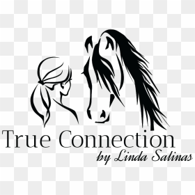 Linda J Salinas Horse Logo, Arabian Horses, Logo Ideas, - Arabian Horse Logo, HD Png Download - horse logo png