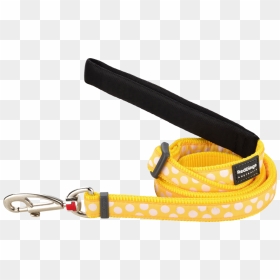 Yellow & White Dots Dog Leash - Yellow Dog Lead, HD Png Download - leash png