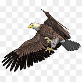 Flying Eagle Png - 3d Eagle Png, Transparent Png - eagle.png