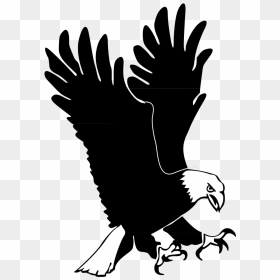 Hunting Eagle Png Icons - Eagle Clip Art, Transparent Png - eagle.png