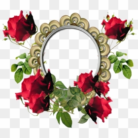 Round Poppy Flower Frame Png Transparent Image - Flower Photo Frame Png, Png Download - family photo frame png
