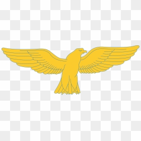 Line Art,falconiformes,eagle - Azores Flag Line Art, HD Png Download - eagle.png
