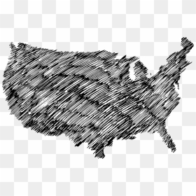 Map Of Usa Drawing 1 - South Carolina Cwp Reciprocity, HD Png Download - map png images