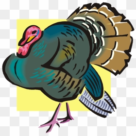 Turkeys Clipart Wild Turkey - Turkey Meat, HD Png Download - turkey transparent png